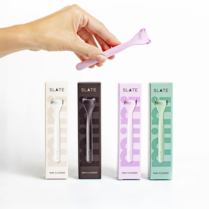 Slate Mini Flosser hilo dental portátil reutilizable en colores variados con estuche, limpieza interdental fácil