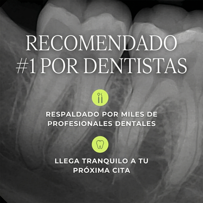 numero-uno-dentistas-01.jpgCabezales de repuesto Slate recomendados por dentistas para higiene interdental profunda